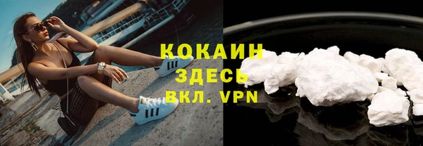 мдпв Богданович