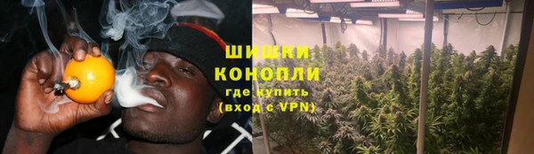 spice Богородск