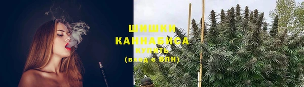 spice Богородск