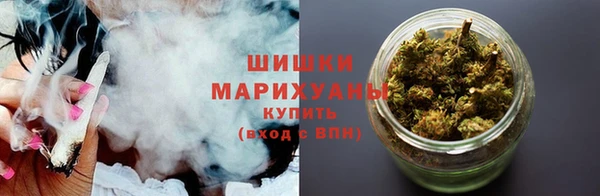 spice Богородск