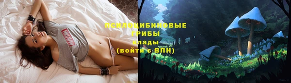 спайс Верхний Тагил