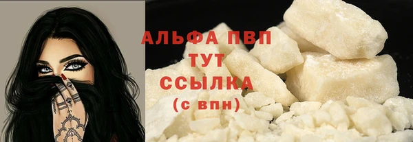spice Богородск