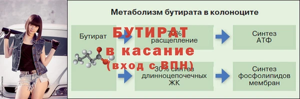 мдпв Богданович