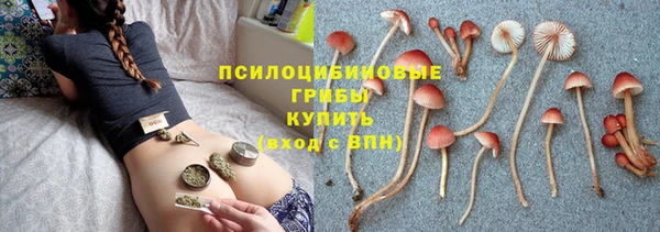 мдпв Богданович