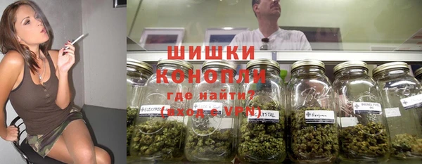 мдпв Богданович