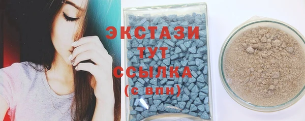 spice Богородск