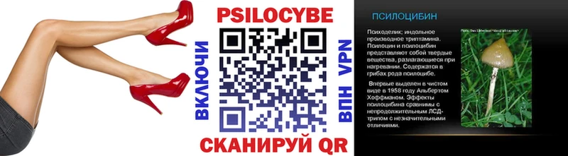Псилоцибиновые грибы Cubensis  Александровское 